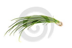 Fresh scallions isolated on white