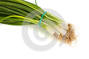 Fresh scallions isolated on white