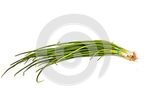 Fresh scallions isolated on white