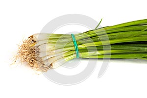 Fresh scallions isolated on white