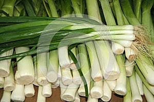 Fresh scallions and leek