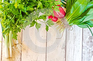 Fresh Scallions radish wild garlic and parsley