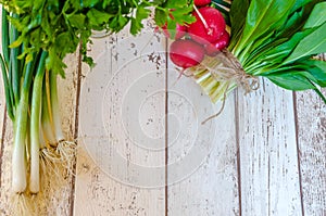 Fresh Scallions radish wild garlic and parsley