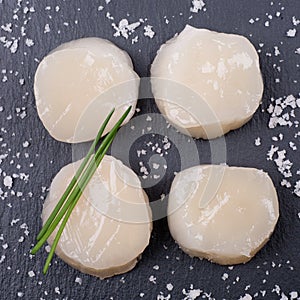 Fresh scallop