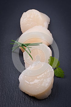 Fresh scallop photo