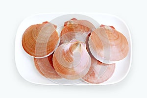 Fresh scallop and white background.