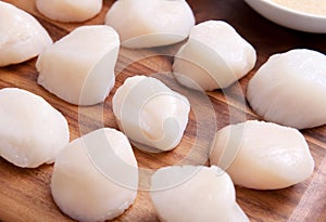 Fresh scallops