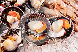 Fresh scallops in Fish market