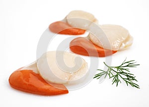 FRESH SCALLOPS pecten maximus WITH DILL