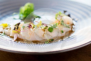 Fresh scallops sashimi closeup. photo