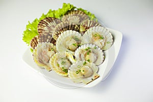 Fresh scallops shell with lettuce on white plate