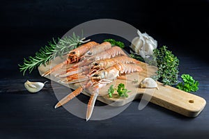 Fresh scampi, also called Norway Lobster or langoustine on a kitchen board, also garlic and herbs, ingredients for an festive