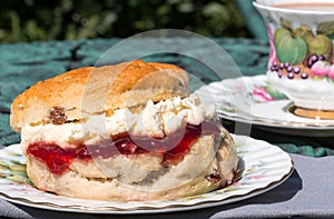 Fresh scone cream tea