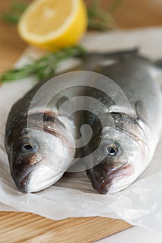 Fresh sea bass