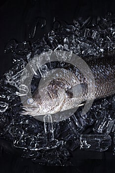 Fresh sea bass fish on ice on a black stone table top view