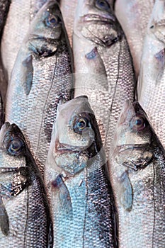 Fresh sea bass, at a UK fishmongers market stall