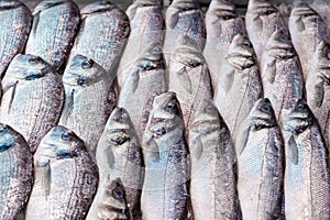 Fresh sea bass, at a UK fishmongers market stall