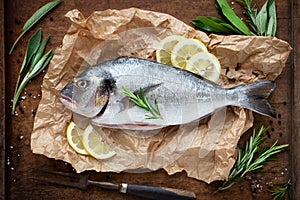 Fresh sea bream with lemon and herbs