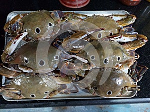 Fresh sea crabs are on the tray ready for prepration.