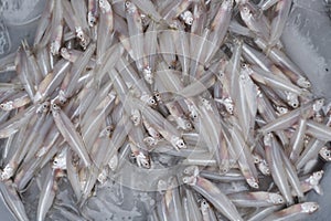 Fresh sea fish in a cup with ice