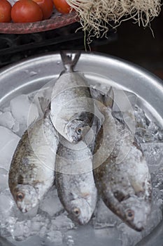 Fresh sea fish in a cup with ice