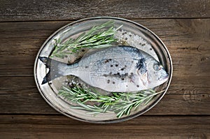 Fresh sea fish (dorado) on a metal dish with rosemary and spices