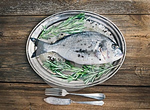 Fresh sea fish (sea bream) on a metal dish with rosemary and spices ready for cooking