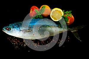 Fresh sea fish tuna in with vegetables and spices on a black background.