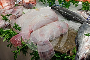 Fresh sea flounder fish in the market