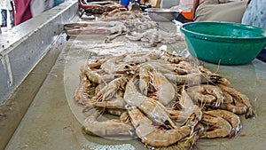 Fresh sea food in the market