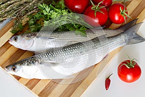 Fresh sea grey mullet on cutting board