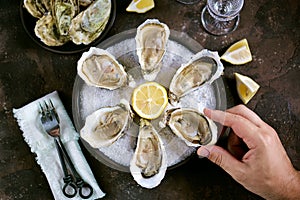 Fresh sea oysters on a large sea salt with lemon. Healthy food, gourmet food, restaurant food.