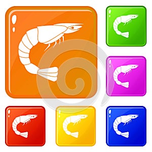 Fresh sea shrimp icons set vector color