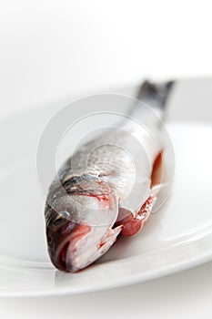 Fresh seabass