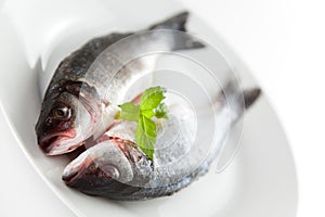 Fresh seabass