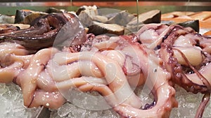 Fresh Seabass and Seabream in Fish market