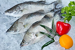 Fresh Seabass and vegetables