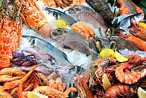 Fresh seafood