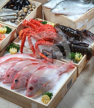 Fresh seafood