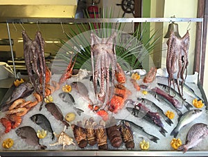 Fresh seafood arrangement displayed in beach restaurant