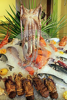 Fresh seafood arrangement displayed in market