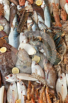 Fresh seafood background