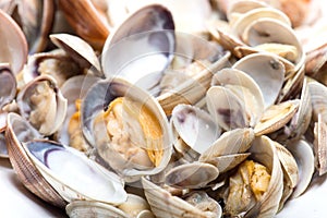 Fresh seafood, clams and cockles prepared