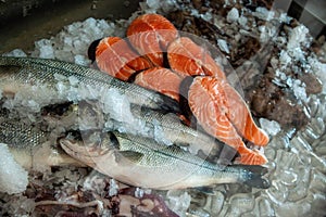 Fresh seafood display at restaurant with bass and salmon fillets. photo