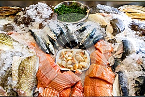 Fresh Seafood Displayed on Ice