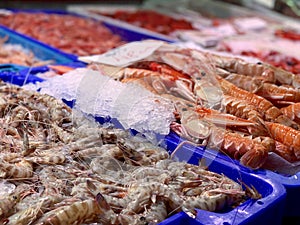 Fresh seafood in a food market, photo