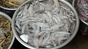 fresh seafood from the food market in kampot