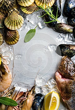 Fresh seafood with herbs and lemon on ice. Prawns, fish, mussels, scallops over steel metal background. Top view, copy