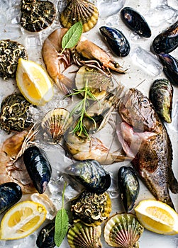 Fresh seafood with herbs and lemon on ice. Prawns, fish, mussels, scallops over steel metal tray