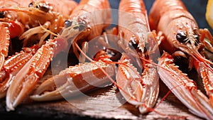 Fresh seafood huge sea shrimps